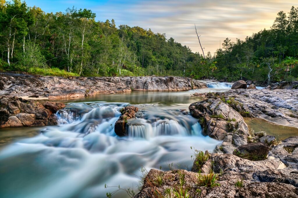 River through lush forest